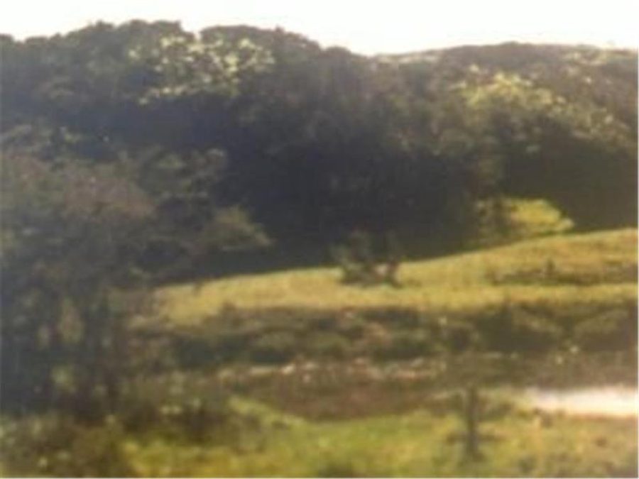 Chacra