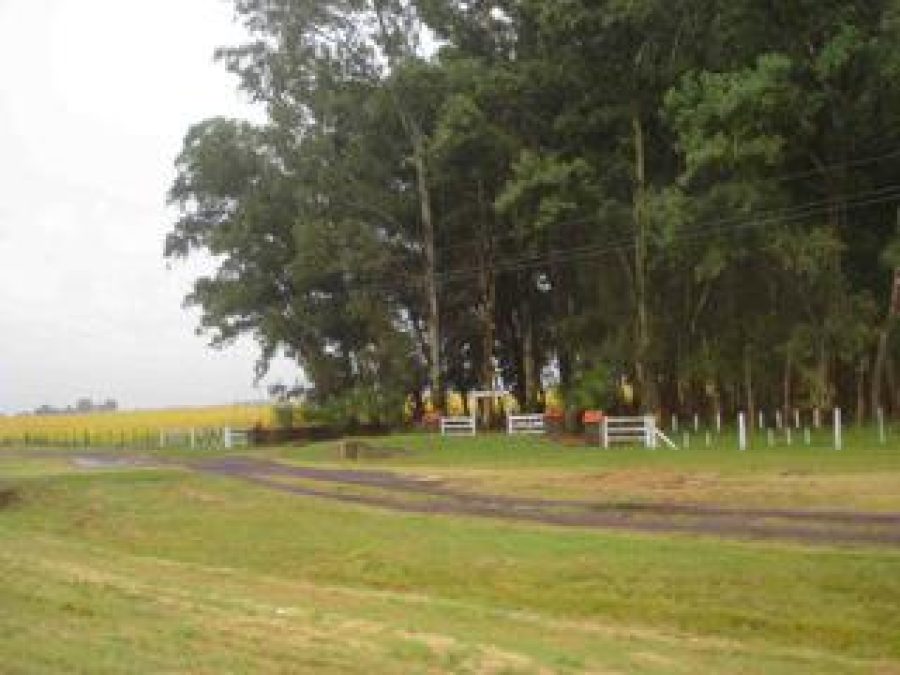 Terreno - Va. Panamericana